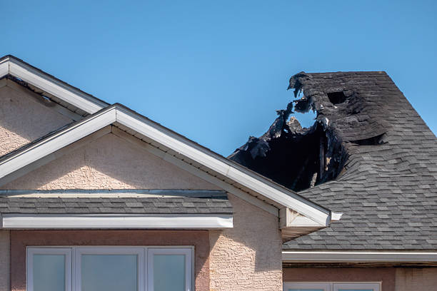 Licensed Odor Removal service in Franklin Park, FL - Fire Damage Biloxi